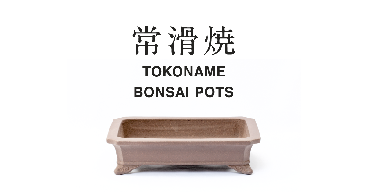 Beautiful Japanese Bonsai Pots, Tokoname Bonsai Pots Store – YUKIMONO